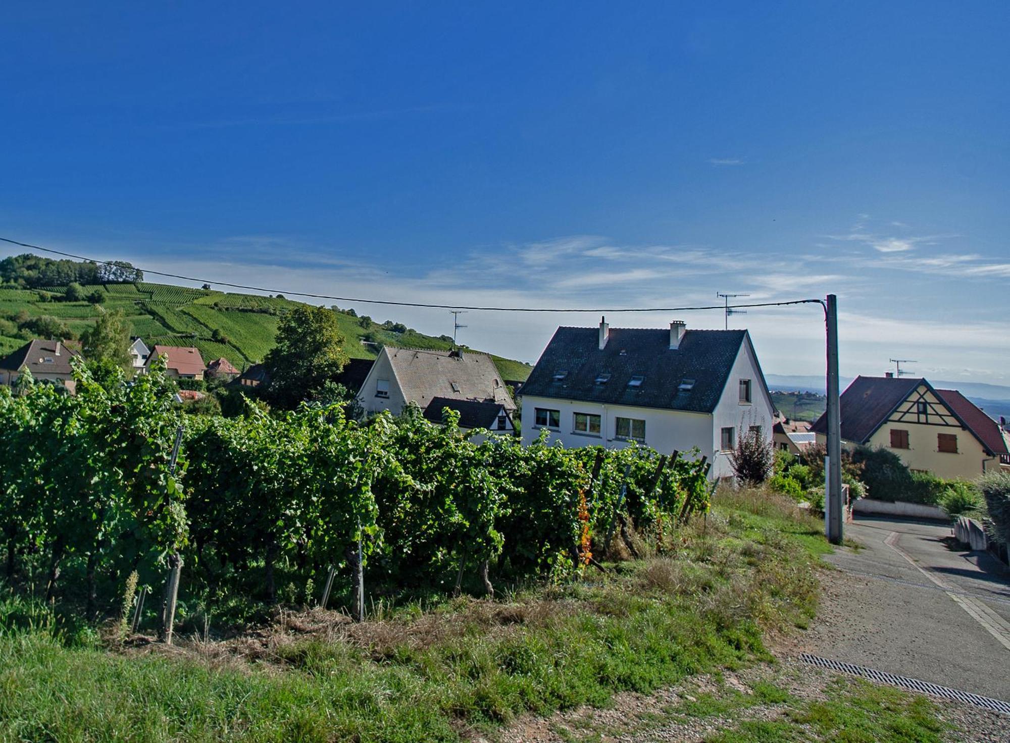 Gite Les Deux Belettes Riquewihr Exterior foto